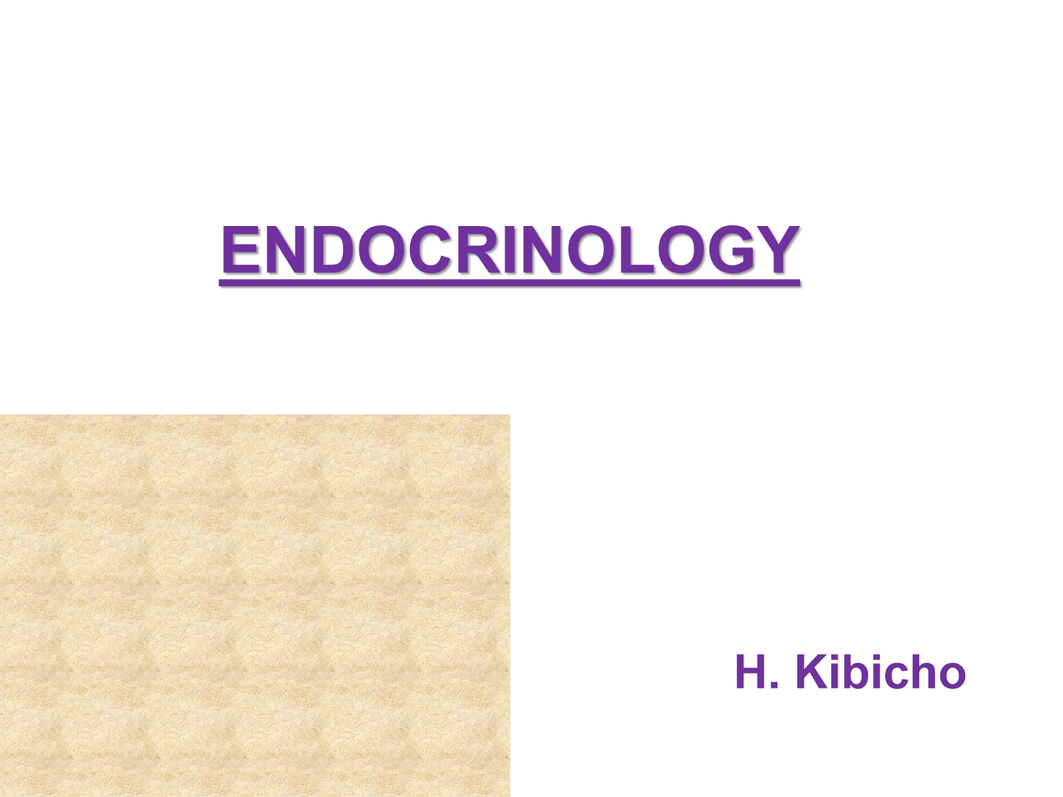 No preview available